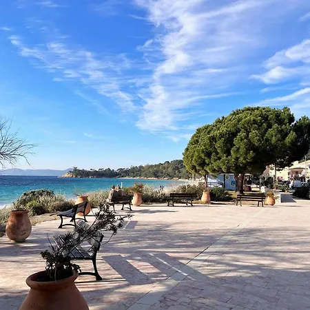 Duplex 3 Pièces Avec Piscine, Terrasse Et Parking - 6 Couchages - - Fr-1-251-563 Appartement